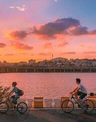 足球进球比分预测-足球进球比分预测，科学还是玄学？揭秘背后的数据与逻辑