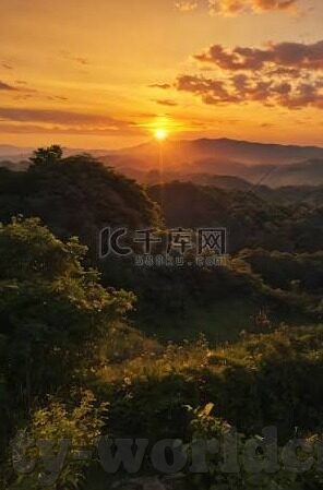 足球体网比分-足球体网比分，数字背后的热血与激情
